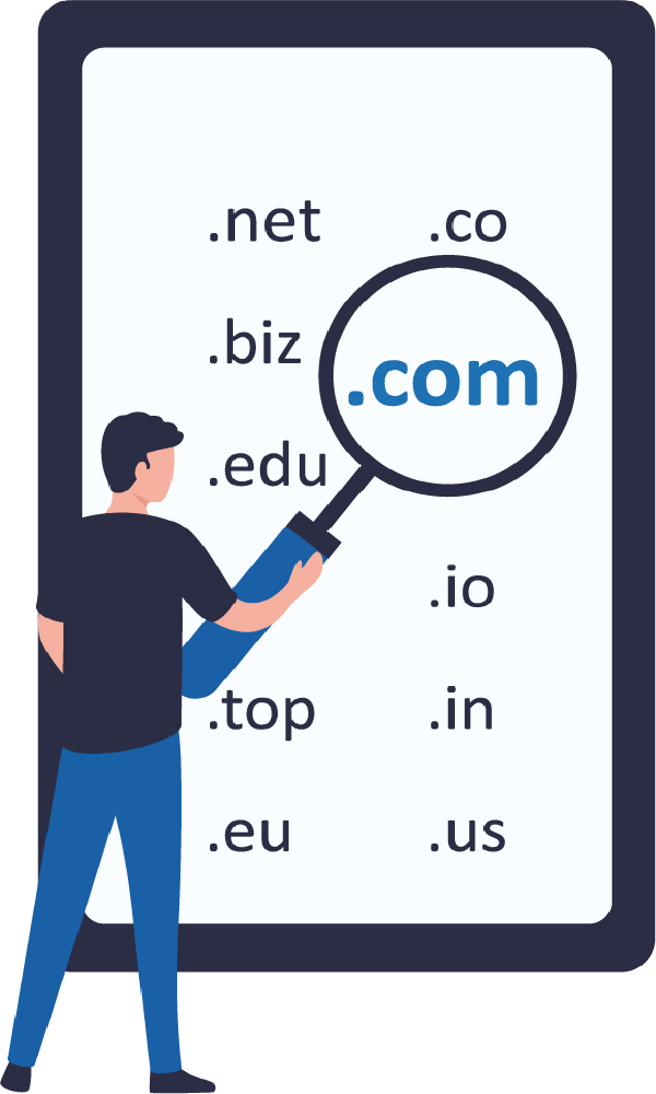 domain search