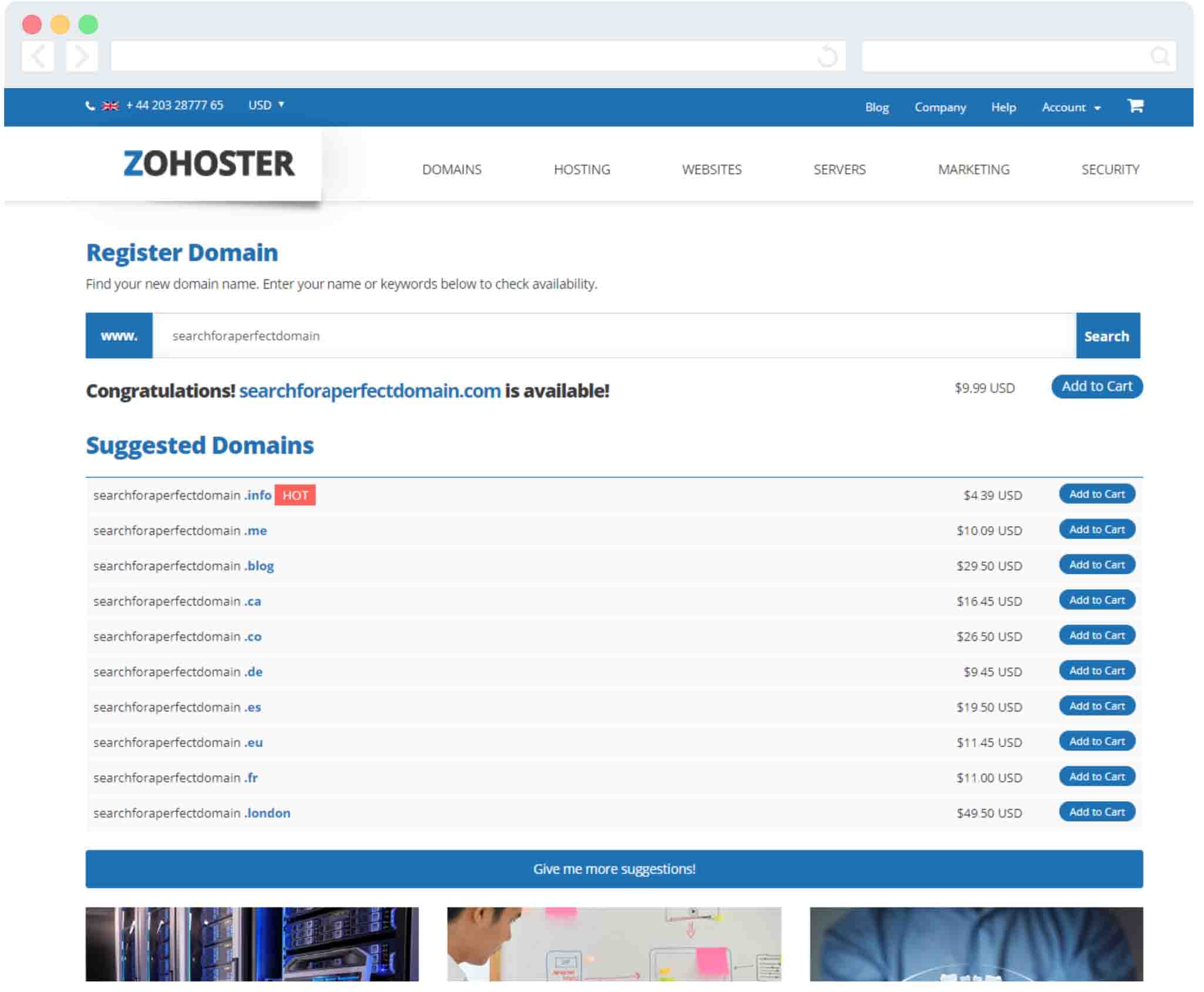 domain name search