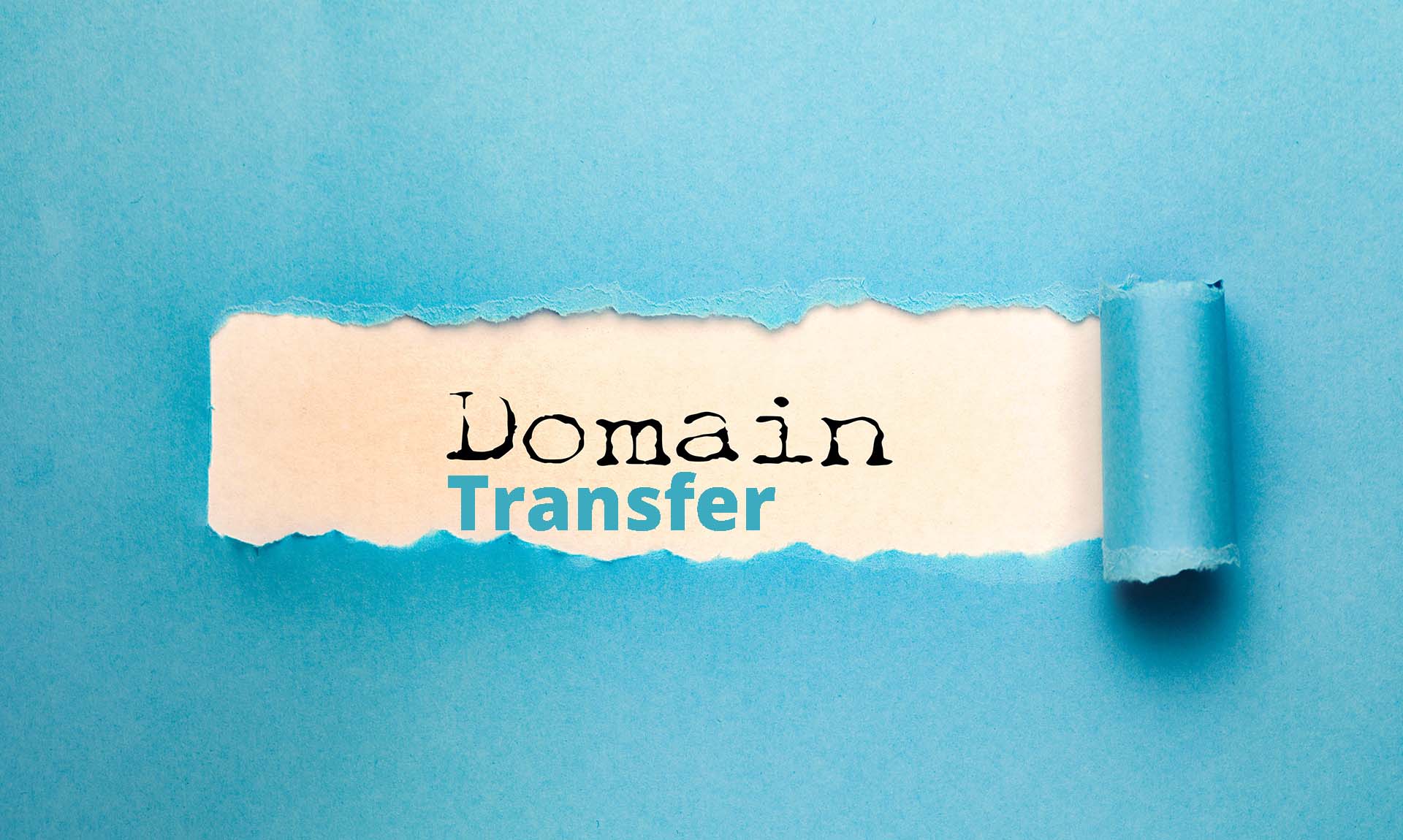 domain name transfer
