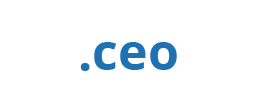 ceo domain name