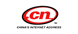 cn domain name