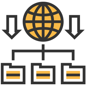 domain types